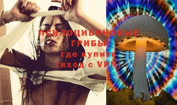 мдпв Кохма
