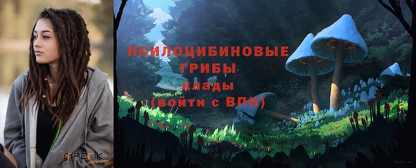 дживик Покачи