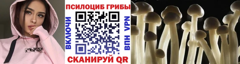 продажа наркотиков  Рудня  Галлюциногенные грибы мицелий 