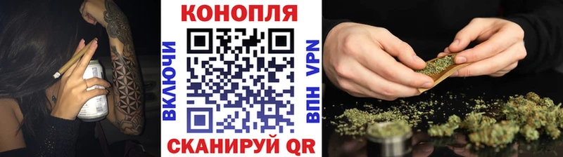 Бошки Шишки план  Рудня 